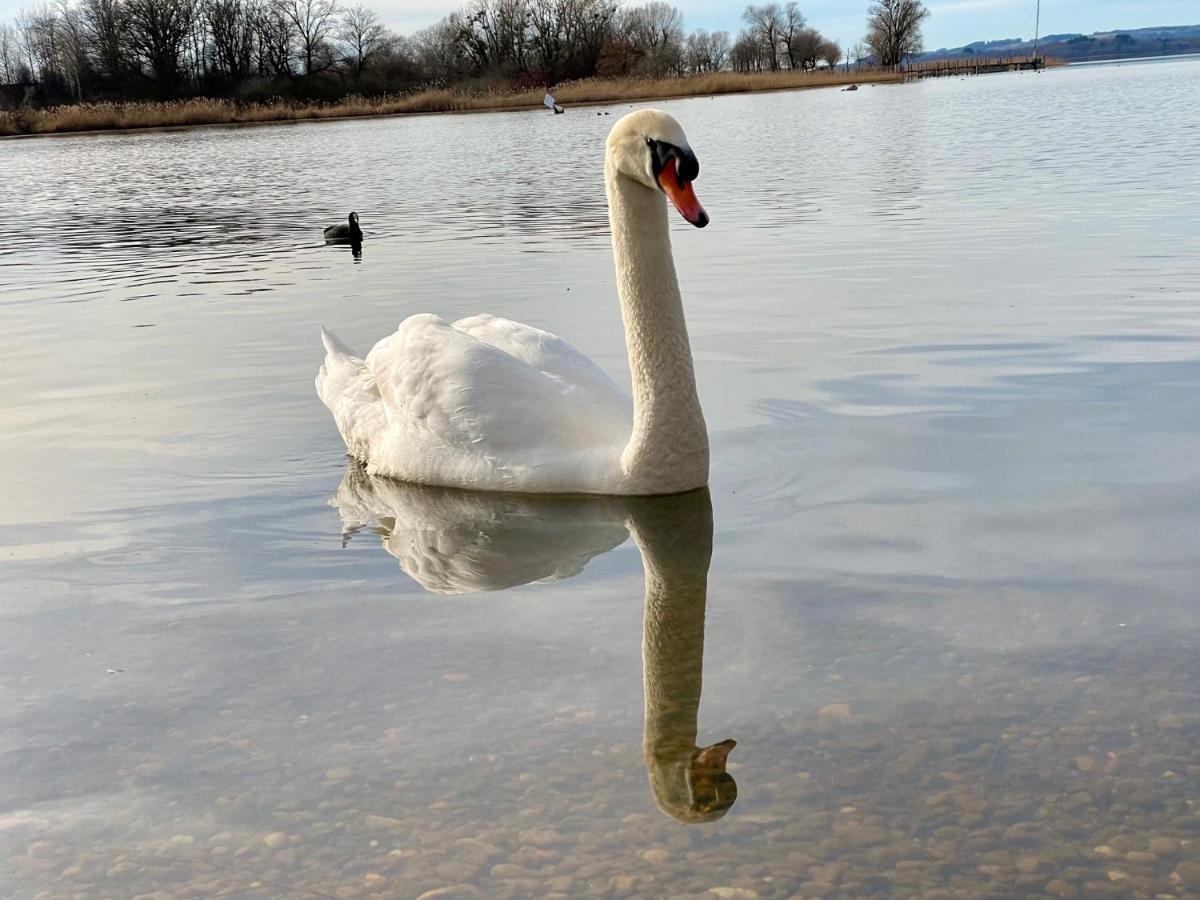 Ferienwohnung Am Chiemsee Übersee Εξωτερικό φωτογραφία